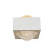 Control Brand Viso Wall Sconce Hot on Sale